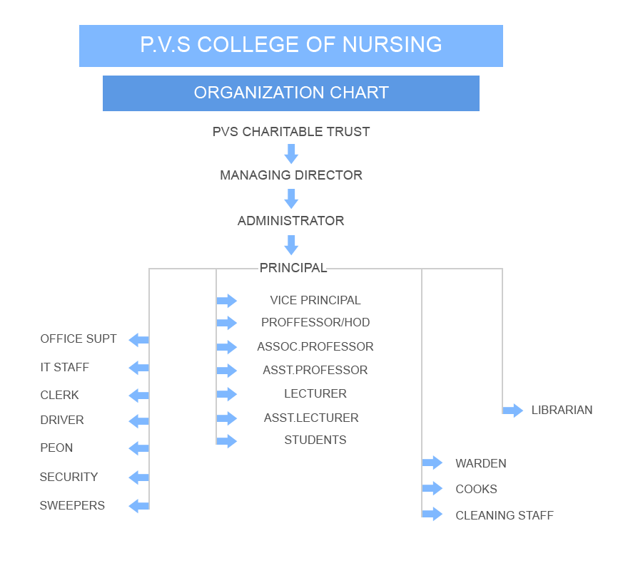 College Of Nursing Organizational Chart